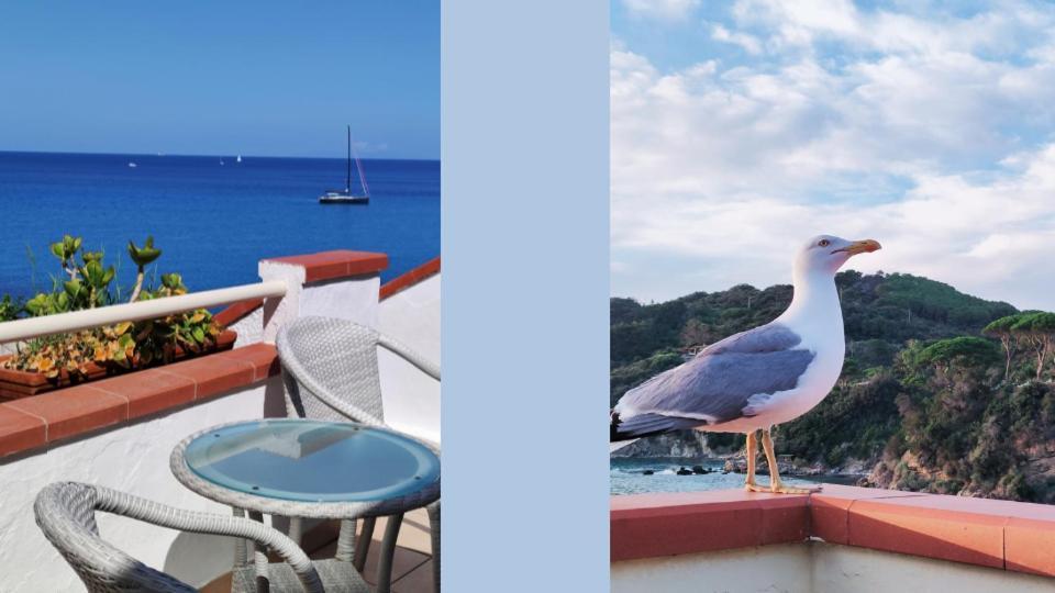 Hotel Scoglio Bianco Portoferraio Exteriér fotografie